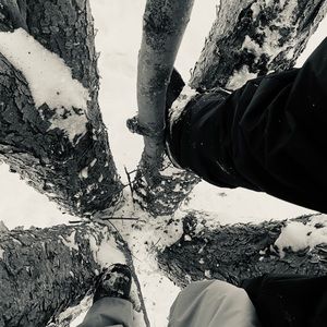 Meet your Posher, Graci